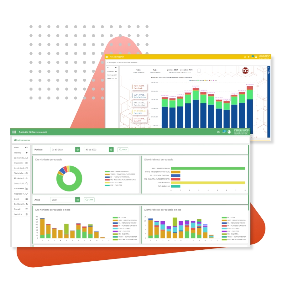 Suite Analisi Report B.I. | Studio Cassone | Consulente del Lavoro